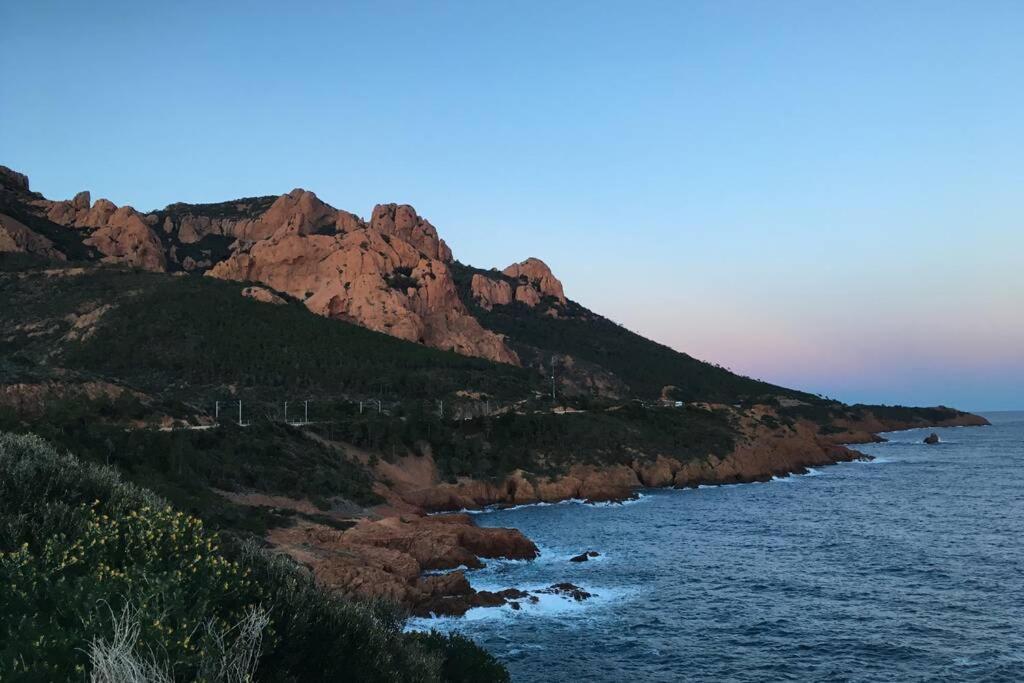 "Les Alizes" Cote Piscine Proche Bord De Mer Saint-Raphaël 外观 照片