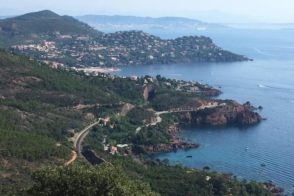"Les Alizes" Cote Piscine Proche Bord De Mer Saint-Raphaël 外观 照片