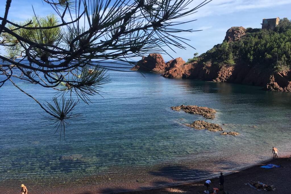 "Les Alizes" Cote Piscine Proche Bord De Mer Saint-Raphaël 外观 照片
