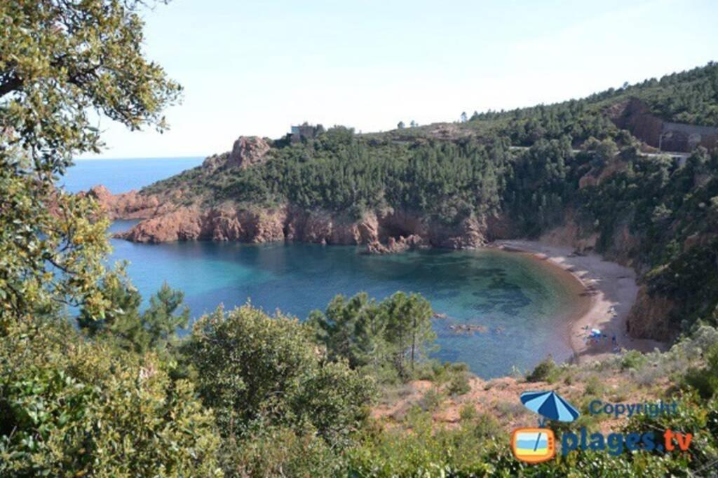 "Les Alizes" Cote Piscine Proche Bord De Mer Saint-Raphaël 外观 照片