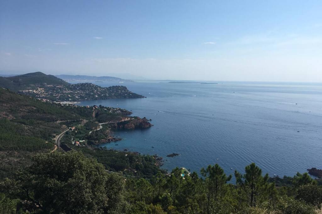 "Les Alizes" Cote Piscine Proche Bord De Mer Saint-Raphaël 外观 照片
